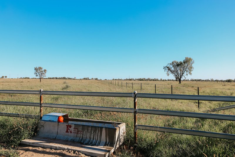 Photo - 888 Dargal Road, Roma QLD 4455 - Image 13