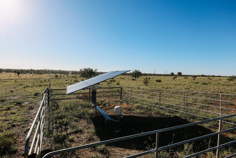 Photo - 888 Dargal Road, Roma QLD 4455 - Image 17