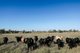 Photo - 888 Dargal Road, Roma QLD 4455 - Image 19