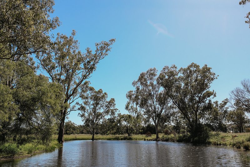 Photo - 888 Dargal Road, Roma QLD 4455 - Image 20