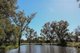 Photo - 888 Dargal Road, Roma QLD 4455 - Image 20