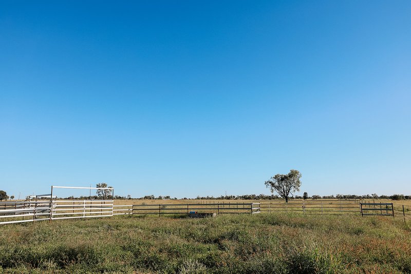 Photo - 888 Dargal Road, Roma QLD 4455 - Image 21