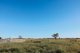 Photo - 888 Dargal Road, Roma QLD 4455 - Image 21