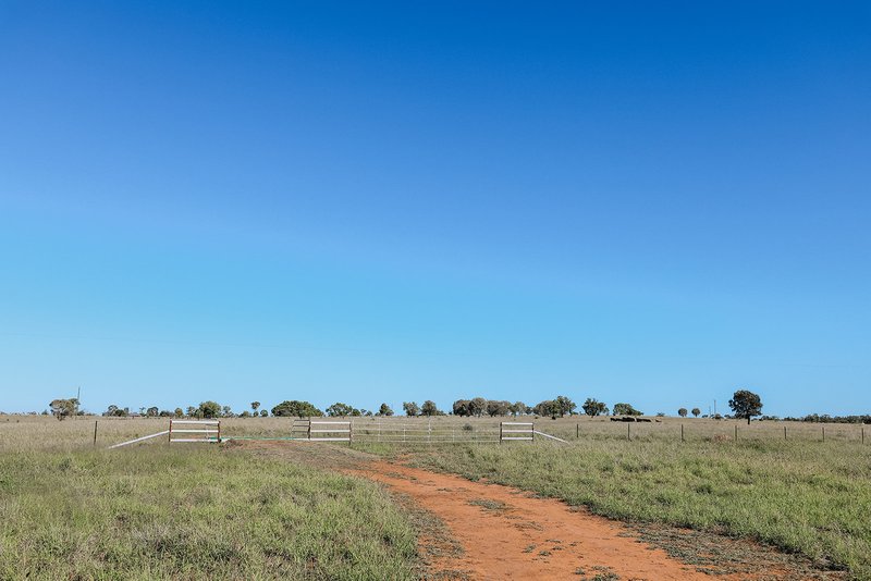 Photo - 888 Dargal Road, Roma QLD 4455 - Image 22