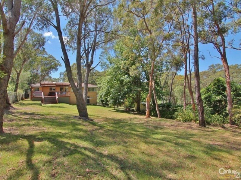 Photo - 89 Boronia Road, Bullaburra NSW 2784 - Image 4