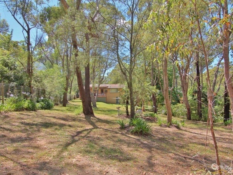 Photo - 89 Boronia Road, Bullaburra NSW 2784 - Image 14