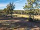 Photo - 89 Canhams Road, St Helens TAS 7216 - Image 7