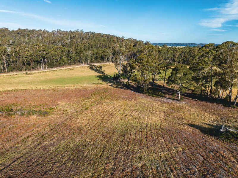 Photo - 89 Canhams Road, St Helens TAS 7216 - Image 8