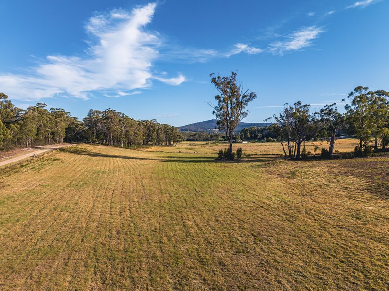 Photo - 89 Canhams Road, St Helens TAS 7216 - Image 9