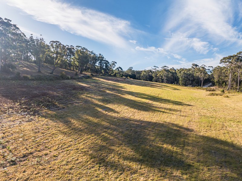 Photo - 89 Canhams Road, St Helens TAS 7216 - Image 11