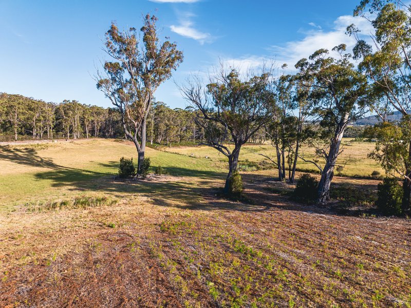 Photo - 89 Canhams Road, St Helens TAS 7216 - Image 13