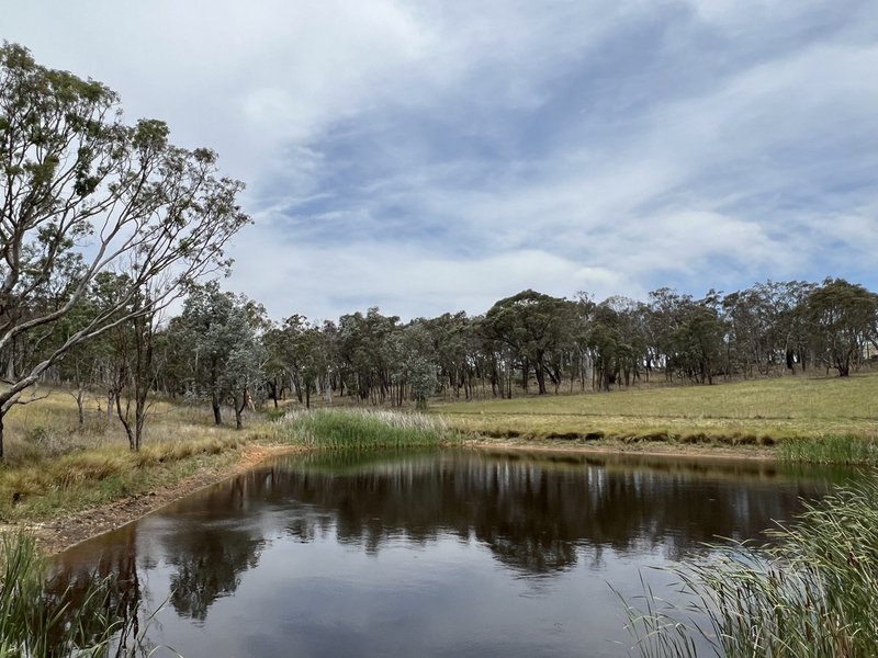 Photo - 89 Carrick Road, Goulburn NSW 2580 - Image 17