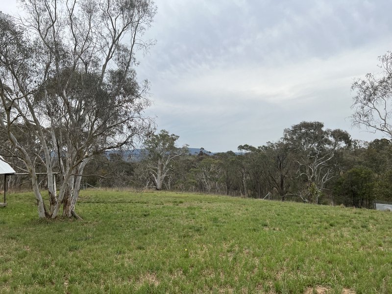 Photo - 89 Carrick Road, Goulburn NSW 2580 - Image 19