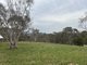 Photo - 89 Carrick Road, Goulburn NSW 2580 - Image 19