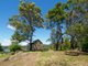 Photo - 89 Gravelly Beach Road, Blackwall TAS 7275 - Image 22