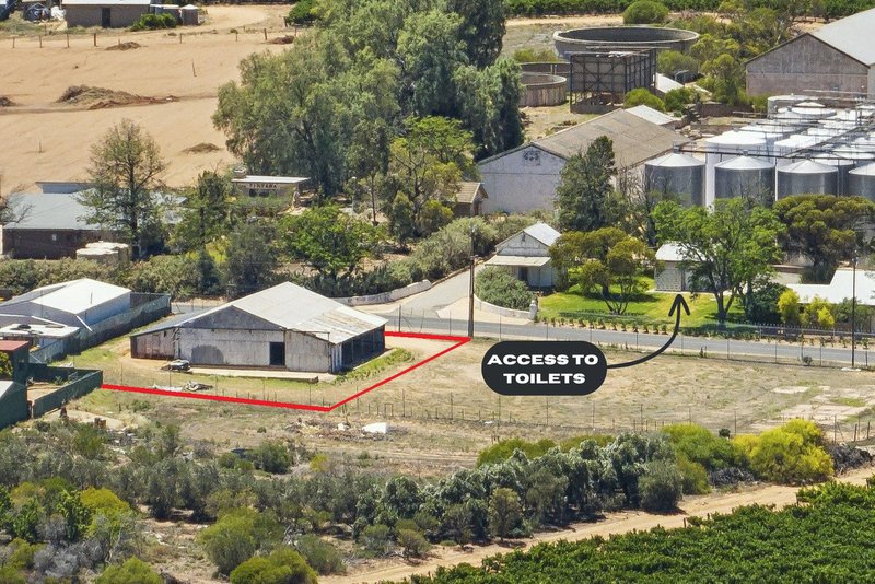 Photo - 89 Hardy Road, Waikerie SA 5330 - Image 5