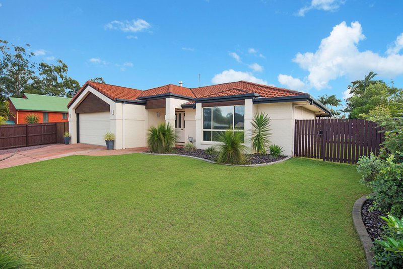 Photo - 89 Jingellic Drive, Buderim QLD 4556 - Image 13