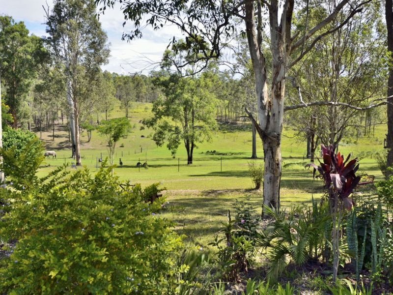 Photo - 89 John Lane Road, Yarravel NSW 2440 - Image 21