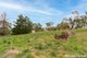 Photo - 89 Market Street, Rockley NSW 2795 - Image 2