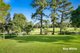 Photo - 89 Tygum Road, Waterford West QLD 4133 - Image 15