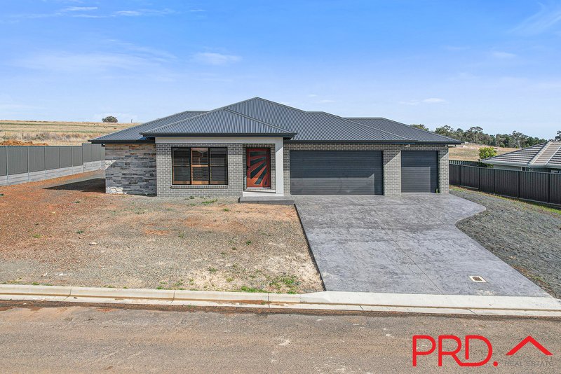 Photo - 89 Verdelho Drive, Tamworth NSW 2340 - Image 2