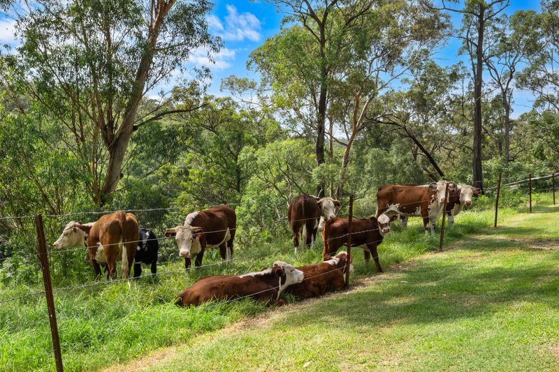 Photo - 895B East Kurrajong Road, East Kurrajong NSW 2758 - Image 33