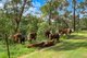 Photo - 895B East Kurrajong Road, East Kurrajong NSW 2758 - Image 33