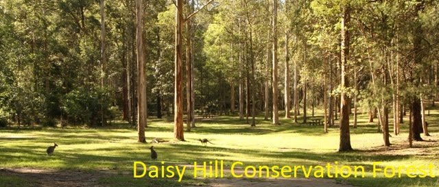 Photo - 89C Daisy Hill Road, Daisy Hill QLD 4127 - Image 14