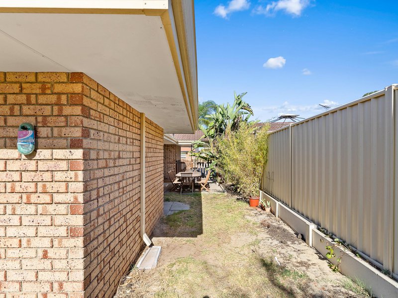 Photo - 8A Claredon Court, Alexander Heights WA 6064 - Image 20