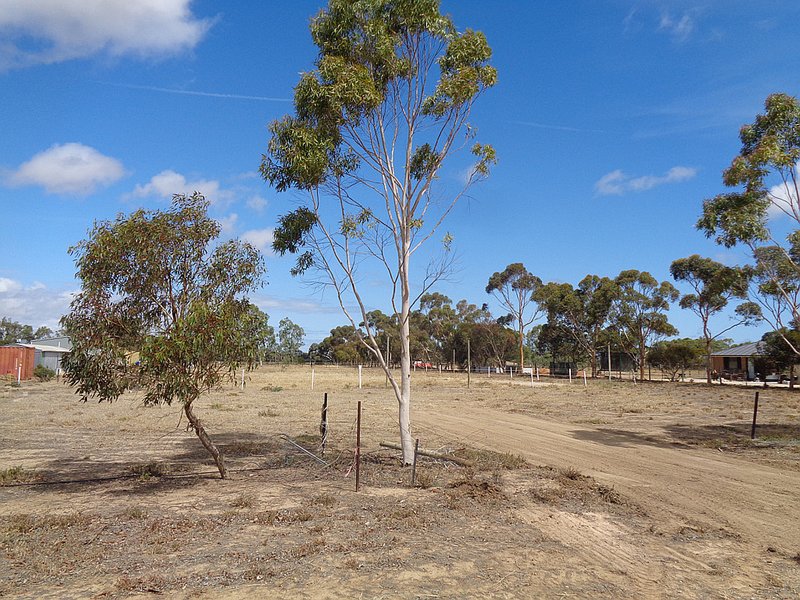 Photo - 8A Tatura Avenue, Two Wells SA 5501 - Image 2