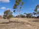 Photo - 8A Tatura Avenue, Two Wells SA 5501 - Image 2