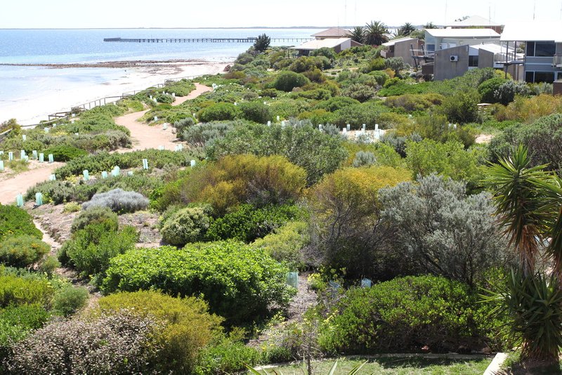 Photo - 8A Tipara Court, Moonta Bay SA 5558 - Image 3