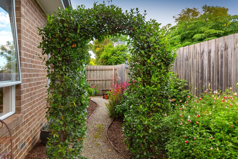 Photo - 8B Allan Street, Berwick VIC 3806 - Image 15