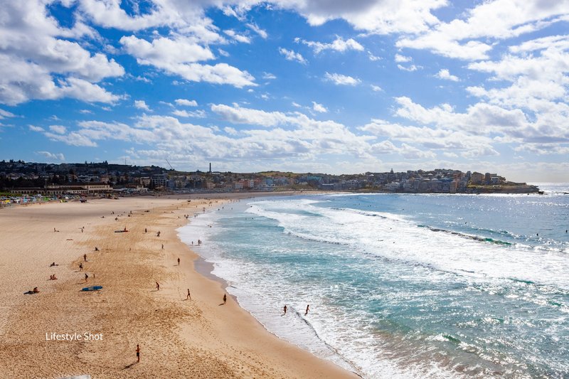 Photo - 8D/39-41 Penkivil Street, Bondi NSW 2026 - Image 7