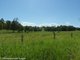 Photo - 8//DP1152135 Pigman Road, Dyraaba , Kyogle NSW 2474 - Image 10