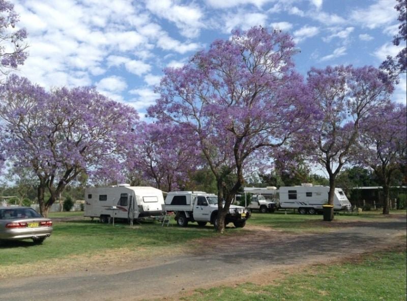 Photo - 9-17 Skuthorpe Street, Gulargambone NSW 2828 - Image 6