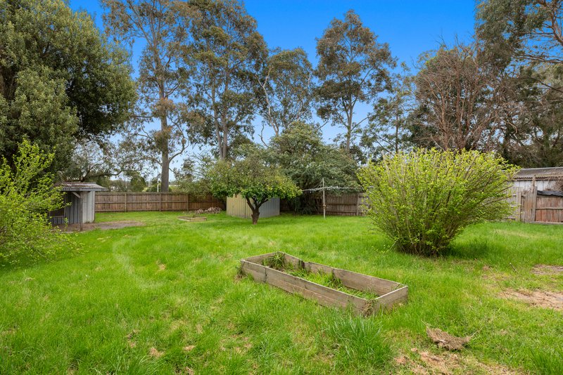 Photo - 9 Albert Avenue, Boronia VIC 3155 - Image 6