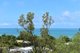 Photo - 9 Armit Court, Hideaway Bay QLD 4800 - Image 6