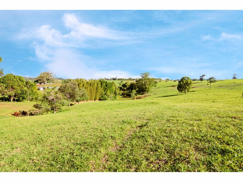 Photo - 9 Azalea Court, Maleny QLD 4552 - Image 3