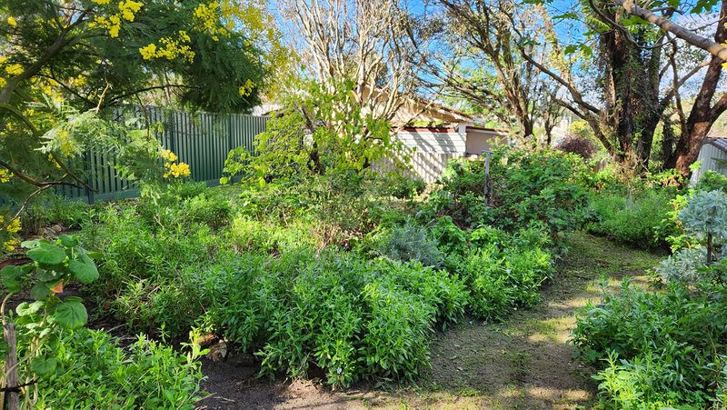 Photo - 9 Bagg Street, Kojonup WA 6395 - Image 20