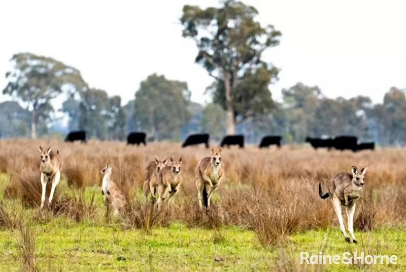 Photo - 9 Bay Road, Jam Jerrup VIC 3984 - Image 12