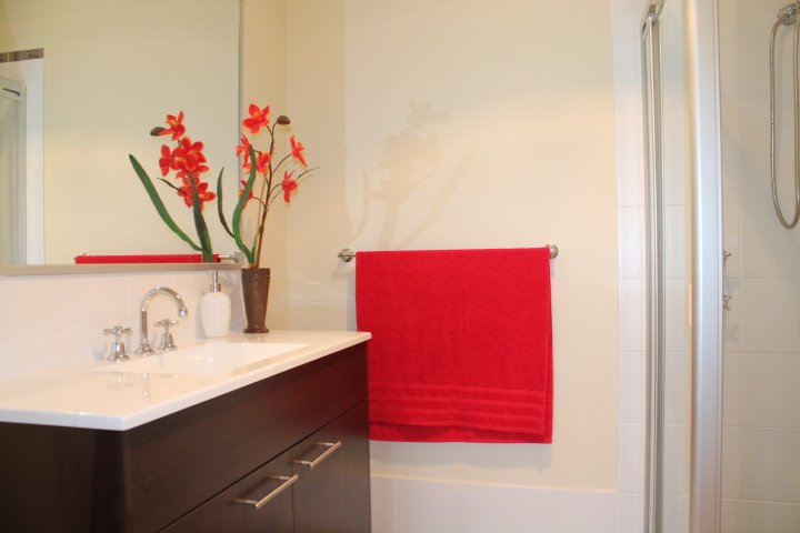 Photo - 9 Beetle Street, The Ponds NSW 2769 - Image 7