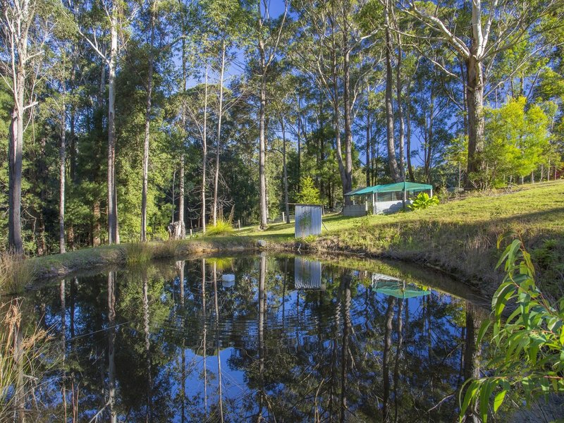 Photo - 9 Brook Hollow Close, Milton NSW 2538 - Image 7