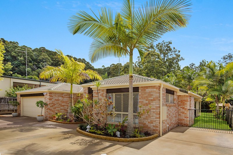 Photo - 9 Buderim Glen Drive, Buderim QLD 4556 - Image 15