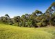 Photo - 9 Camellia Close, Tallwoods Village NSW 2430 - Image 6