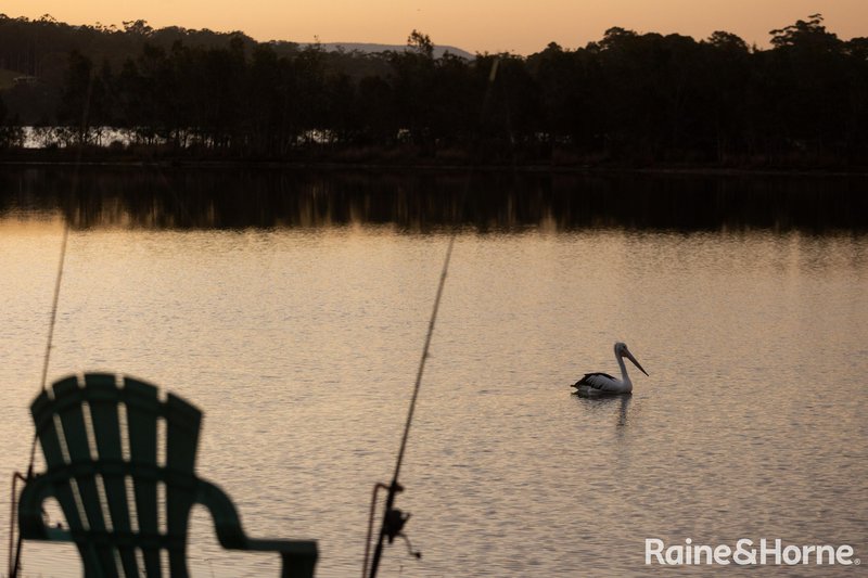 Photo - 9 Casuarina Close, Burrill Lake NSW 2539 - Image 13