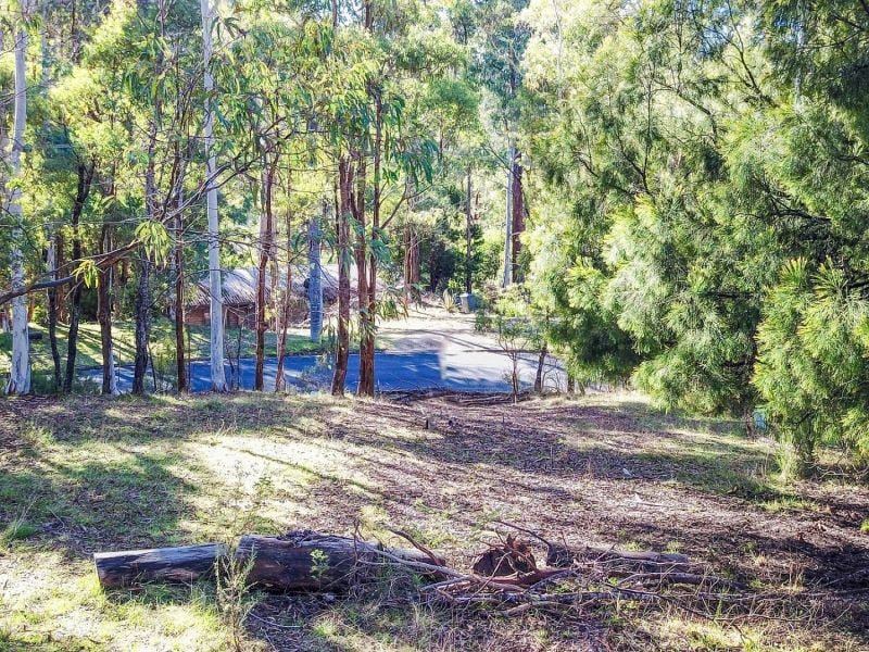 Photo - 9 Christensen Street, Sawmill Settlement VIC 3723 - Image 4