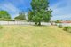 Photo - 9 Coachwood Crescent, Picton NSW 2571 - Image 11