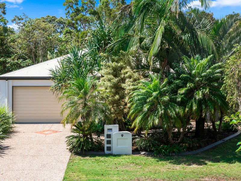 Photo - 9 Cooloola Place, Twin Waters QLD 4564 - Image 11