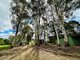 Photo - 9 Coppabella Road, Tumbarumba NSW 2653 - Image 25